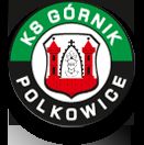 Górnik Polkowice