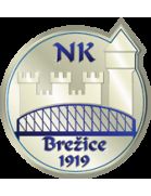 NK Brezice 1919