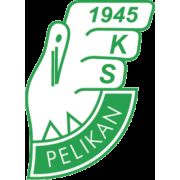 KS Pelikan Łowicz